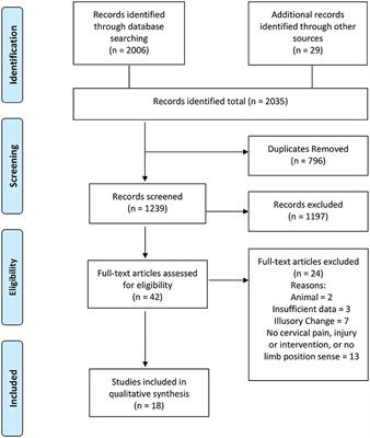 Does My Neck Make Me Clumsy? A Systematic Review of Clinical and Neurophysiological Studies in Humans